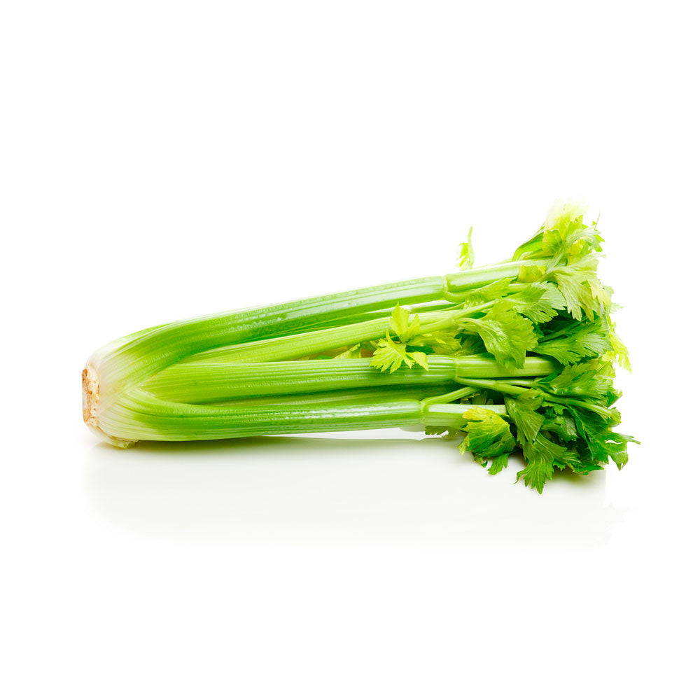 CELERY-GRANEL