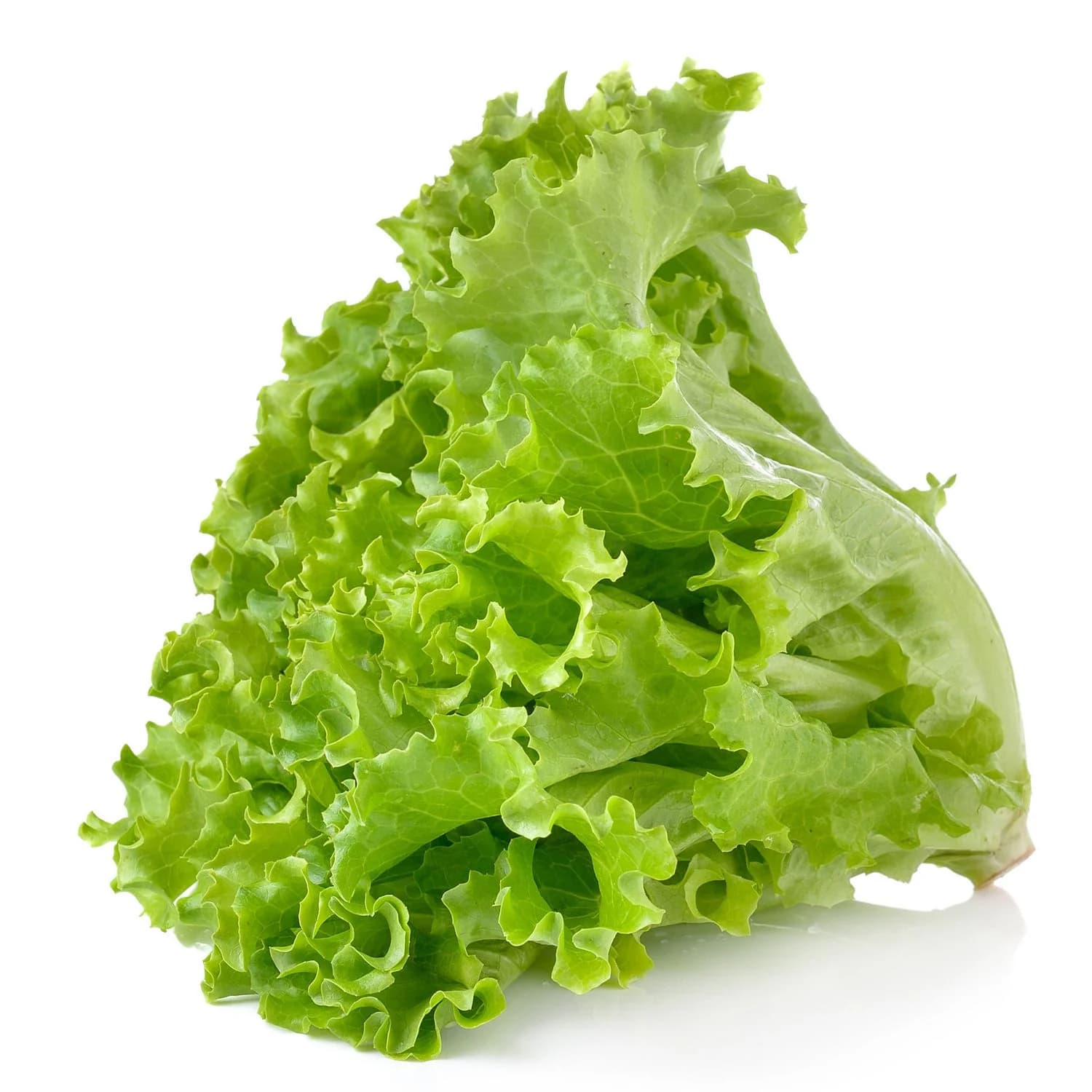 LECHUGA  AMERICANA-GRANEL