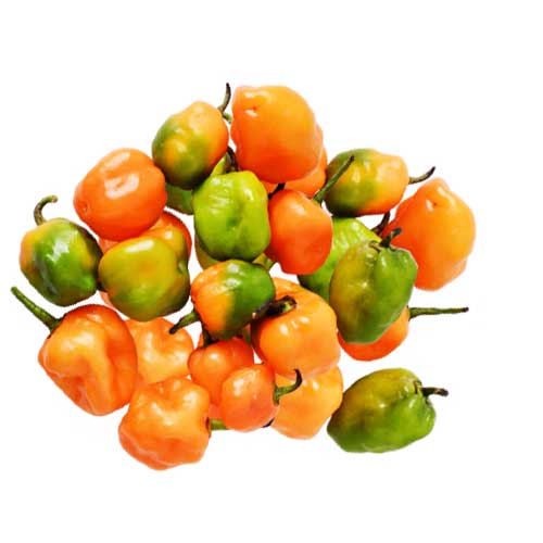 AJI PICANTE CRIOLLO-GRANEL