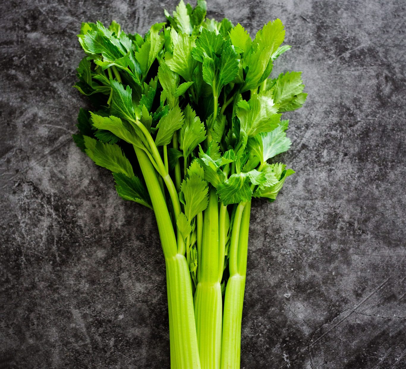 CELERY-GRANEL