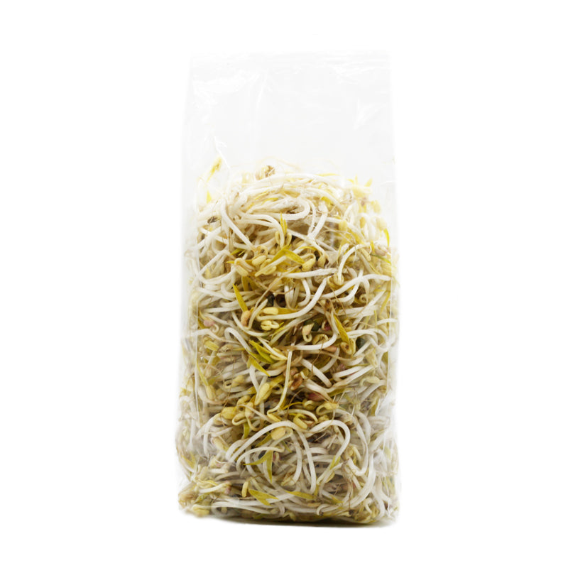 BROTES GERMINADOS DE FRIJOL CHINO 150GRS.